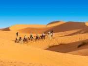 8-day from Casablanca to Marrakech