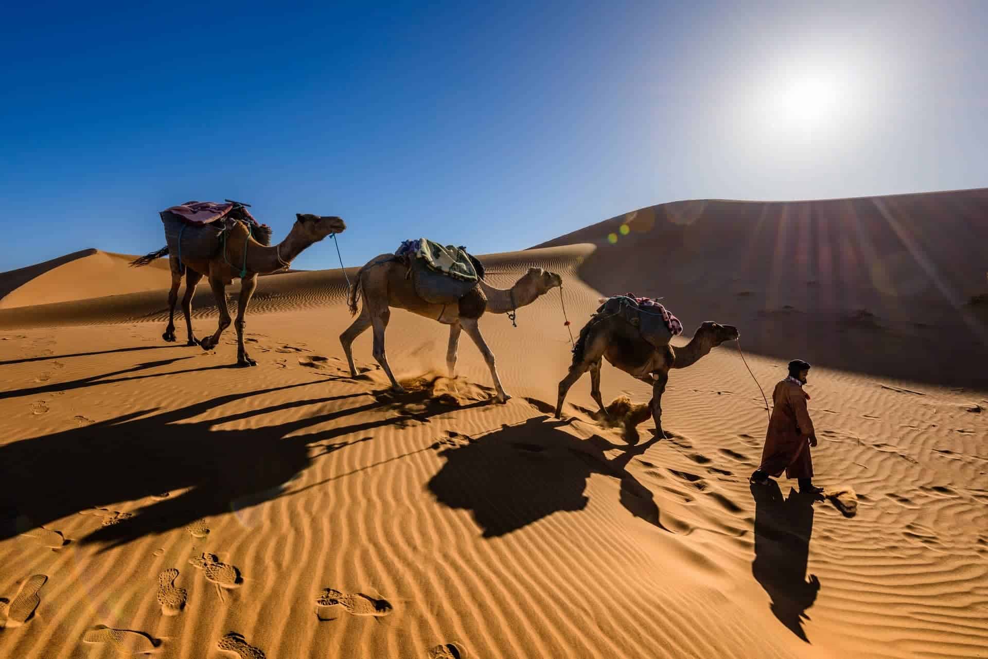 9 days tour from Marrakech to Sahara desert