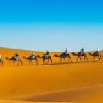 Tailor-made tours Morocco