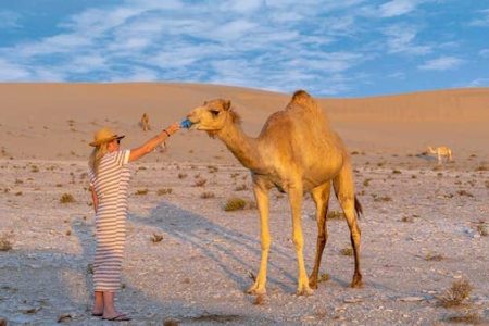 4 Days Desert Tour From Marrakech To Merzouga